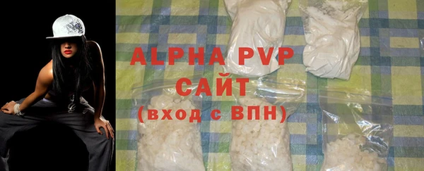 стафф Вязьма