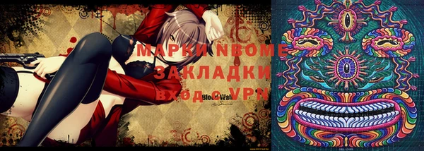 мдпв Горнозаводск