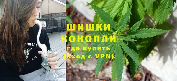 стафф Вязьма