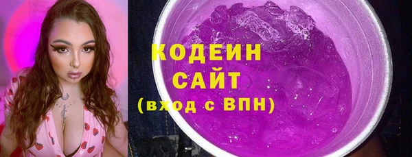 мдпв Горнозаводск