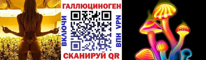 Псилоцибиновые грибы Psilocybe  Зеленогорск 